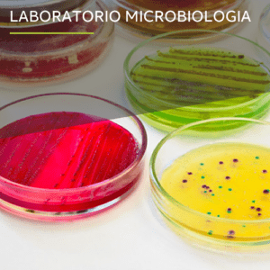 Laboratorio MICROBIOLOGIA